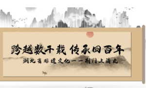 荊門(mén)上清丸的前世今生